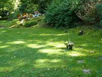 Rasengräber auf dem Waldfriedhof Reinshagen